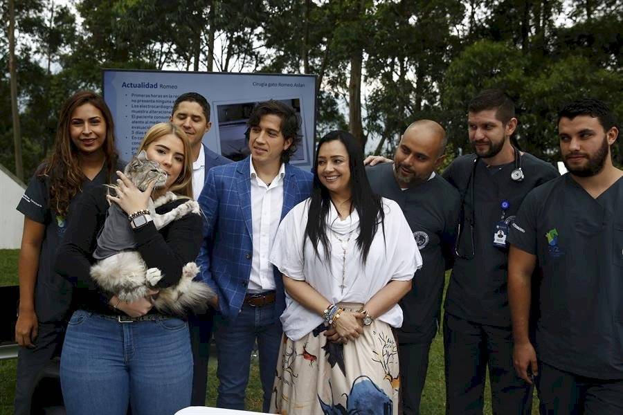 Implantan por primera vez en Colombia un marcapasos a un gato