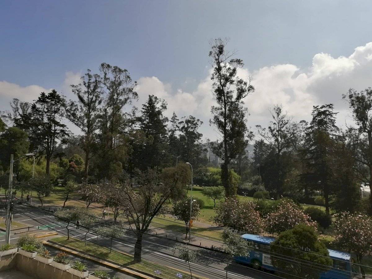 Parque La Carolina, norte de la ciudad, tomada a las 09:45 de este 8 de febrero.