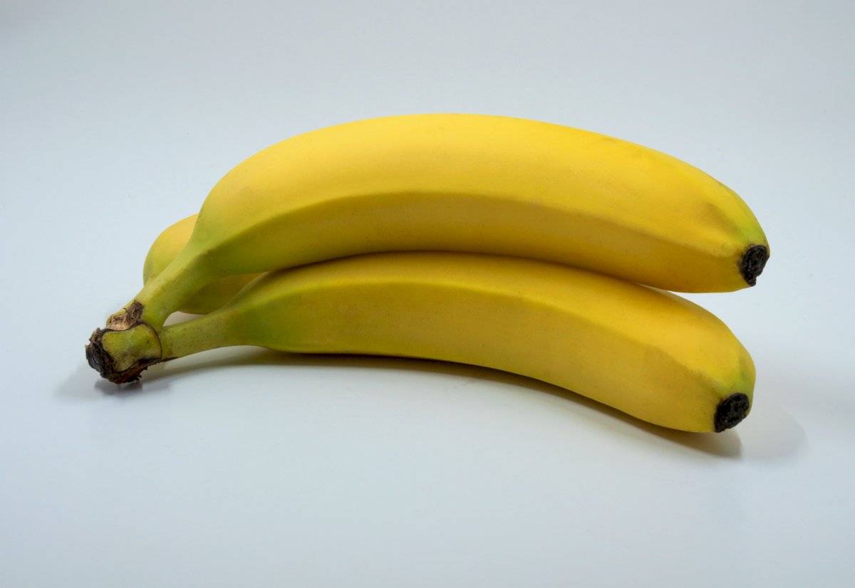 fibra