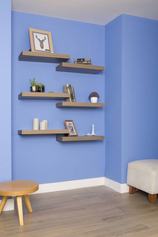 ¿Cuáles colores marcan tendencia en este año?