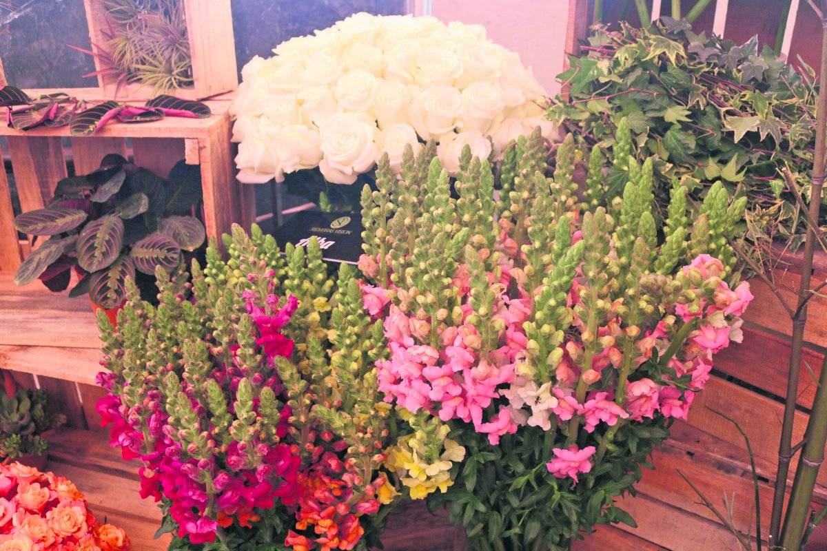 Arreglos florales