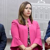 Archivan querellas contra Principal Oficial de Información del Gobierno