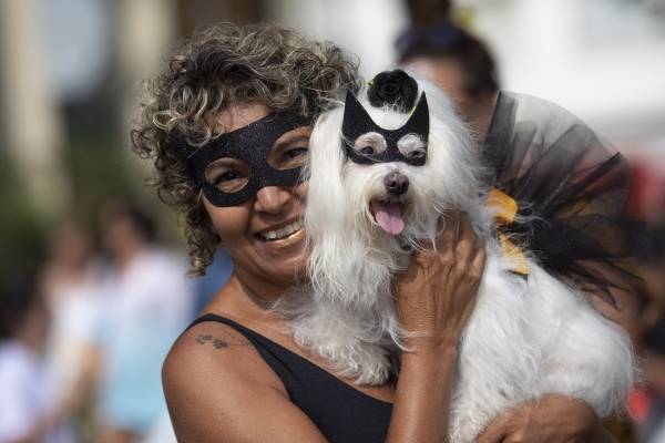 carnaval de perritos