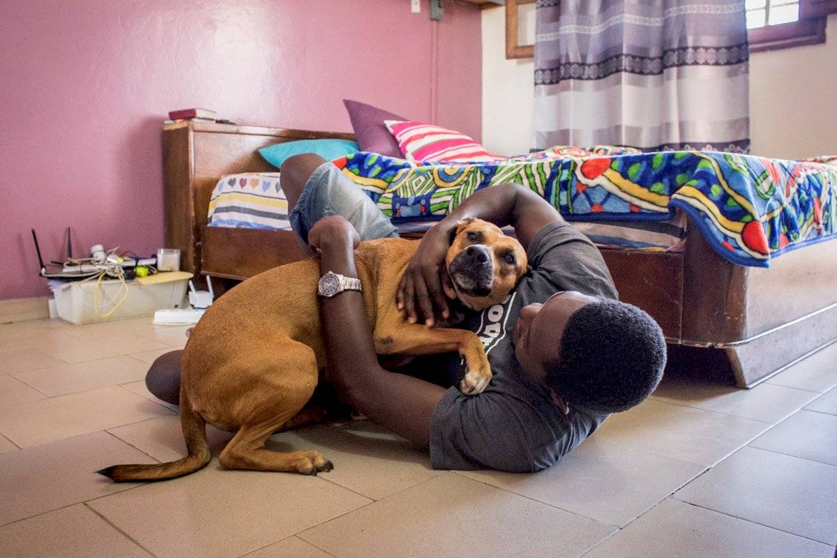 Calles africanas, espacios hostiles para gatos y perros