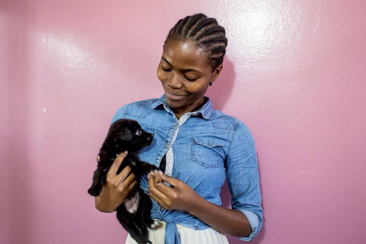 Calles africanas, espacios hostiles para gatos y perros
