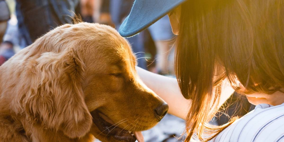 Bienestar ¿Por qué tu perro puede ayudarte a superar la tristeza