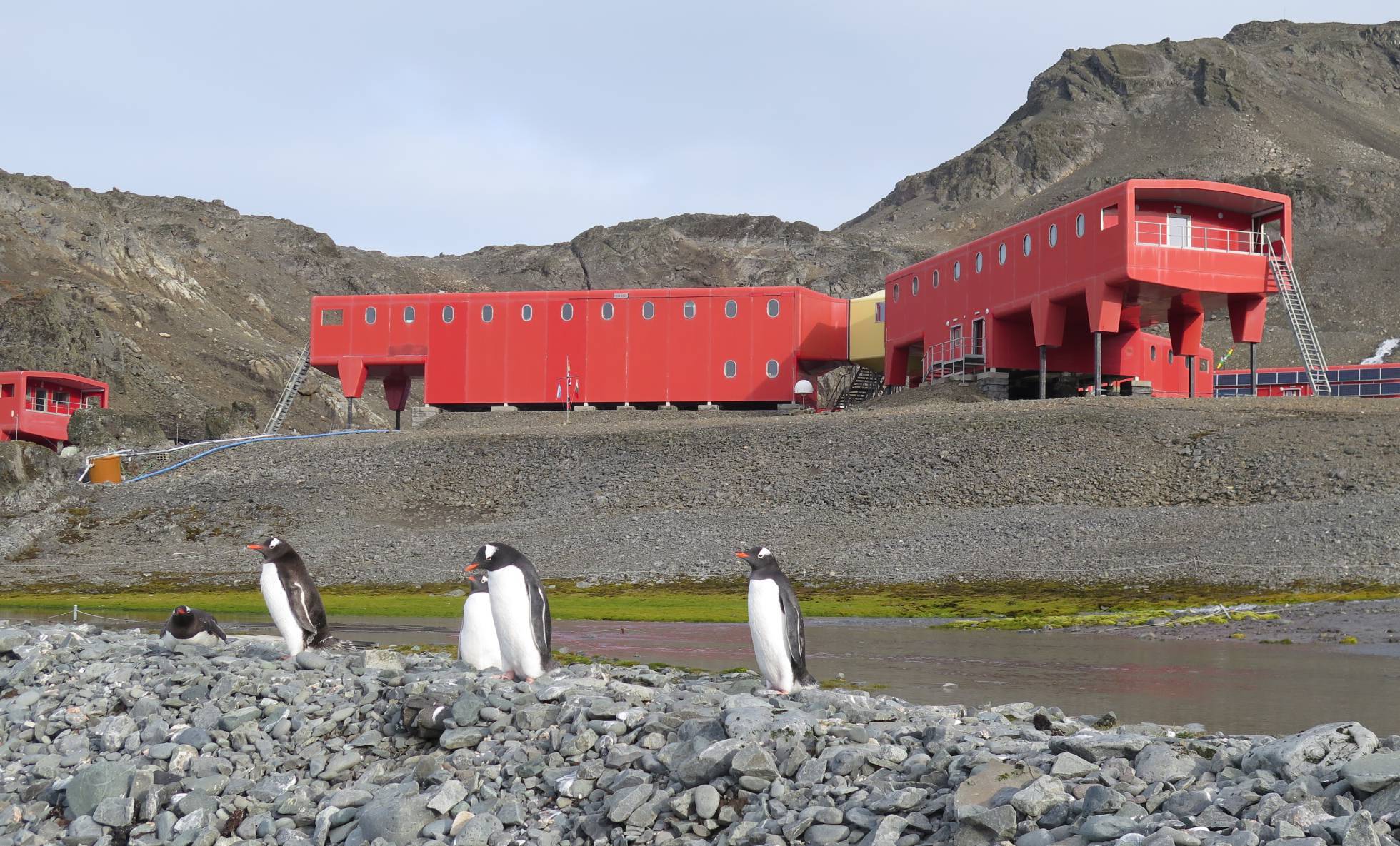 Antártida: continuidad de temperaturas altas preocupa en el continente de hielo Antártida: continuidad de temperaturas altas preocupa en el continente de hielo