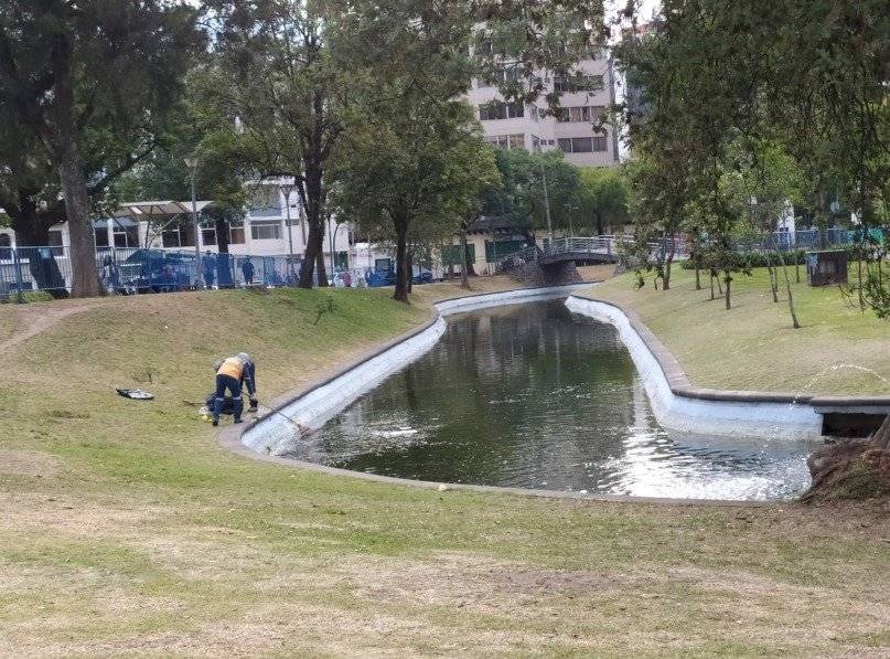 Operativo de Carnaval