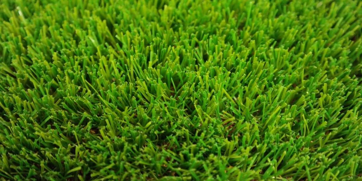 Antártida: florece pasto en el territorio chileno tras derretimiento de la nieve
