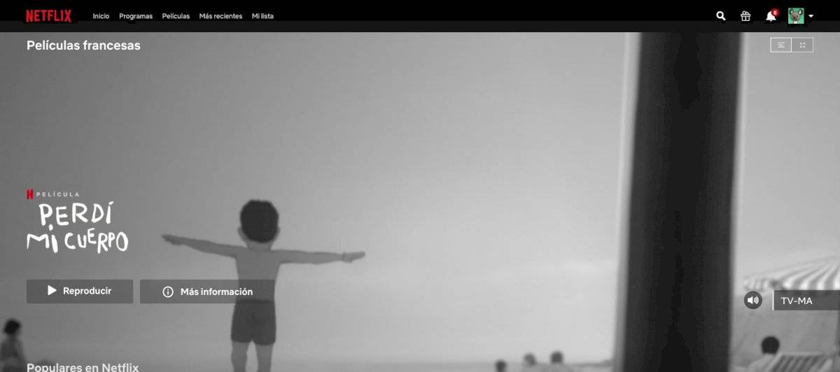 Netflix códigos secretos