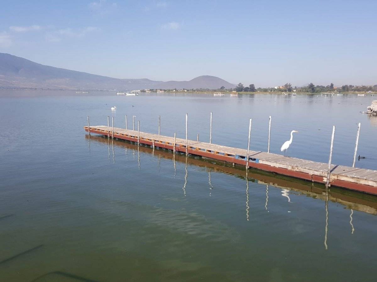 Exigen limpieza de contaminantes en la laguna de Cajititlán