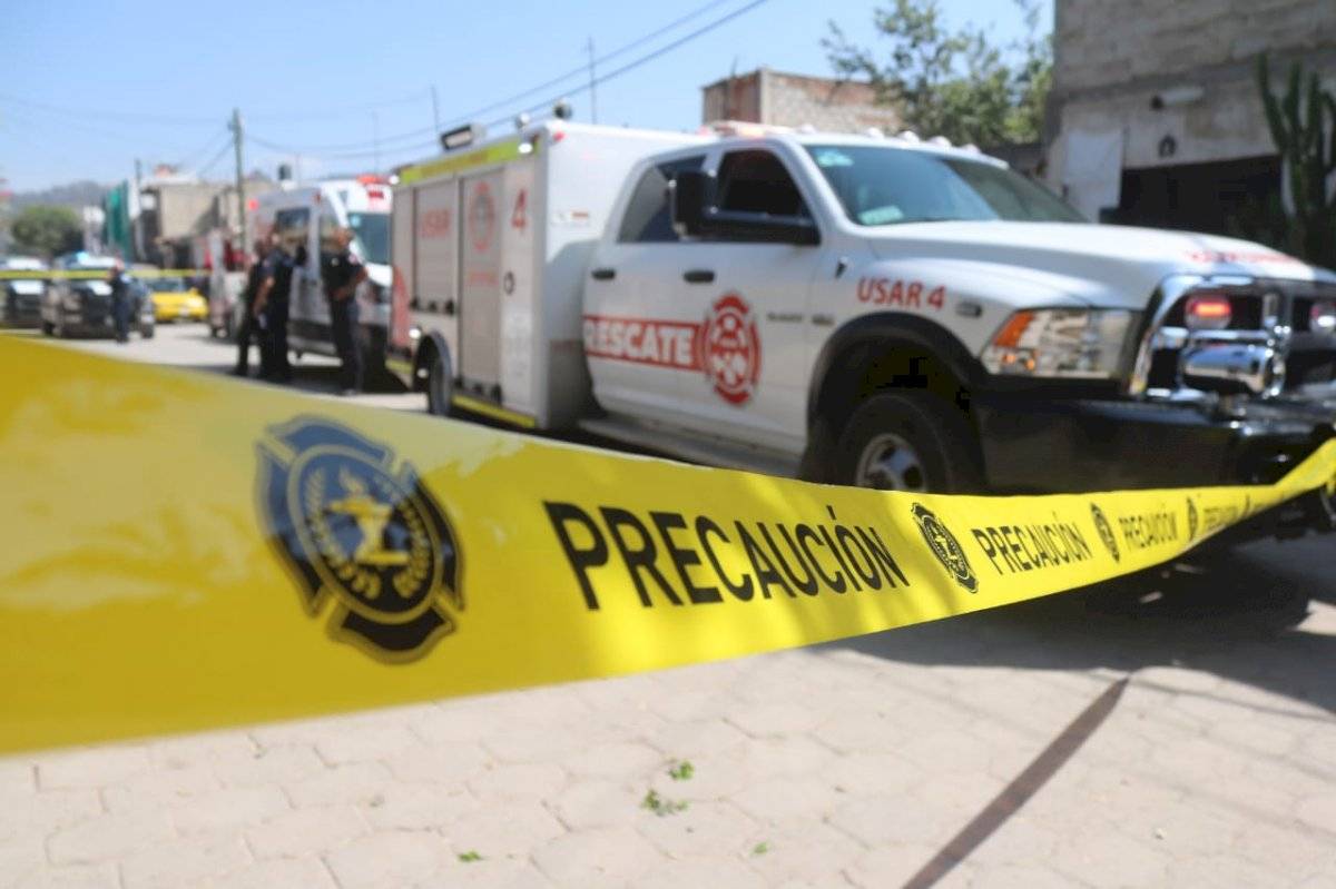 Perro pitbull mata a niño que cayó de un árbol en Zapopan