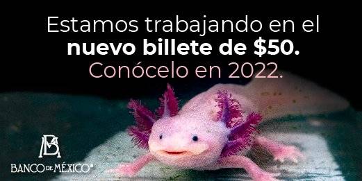 México Ajolotes Billetes México Ajolotes Billetes