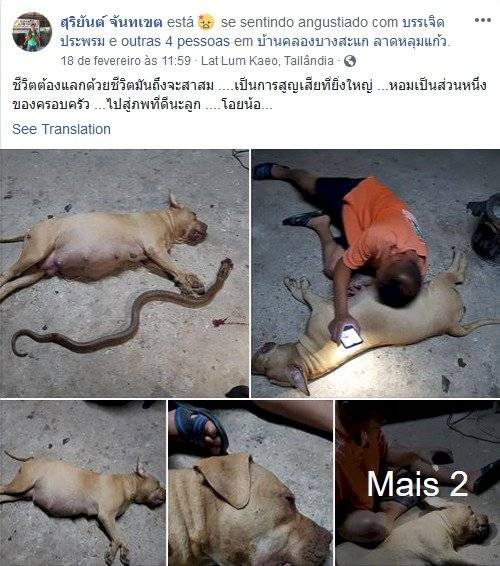 Reprodução/Facebook