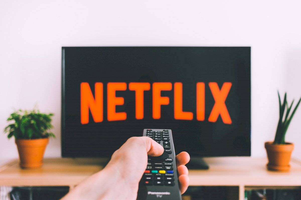 Netfllix - WhatsApp