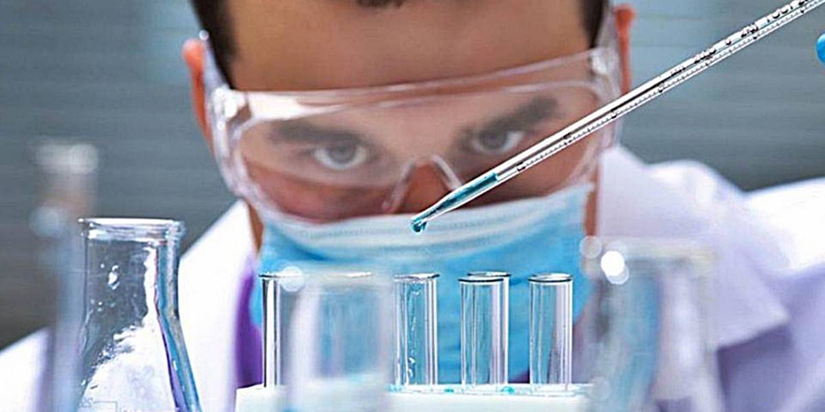 Salud: científicos logran curar la diabetes de ratones con un nuevo método