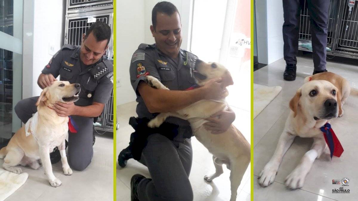 Cabo Jesus, da PM, com Dogão, cão esfaqueado pela própria dona, após cirurgia