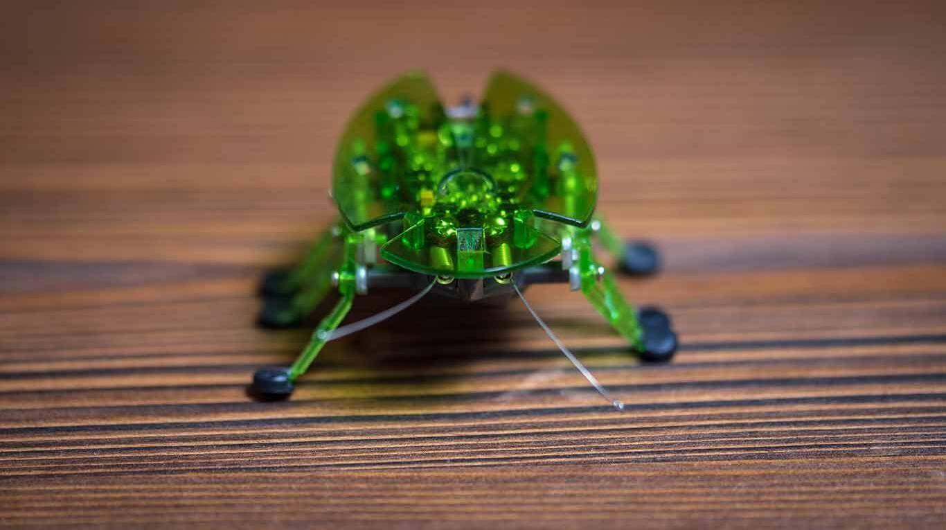 Insectos robots: conoce los dispositivos que alguna vez fueron usados para "espiar" Insectos robots: conoce los dispositivos que alguna vez fueron usados para "espiar"