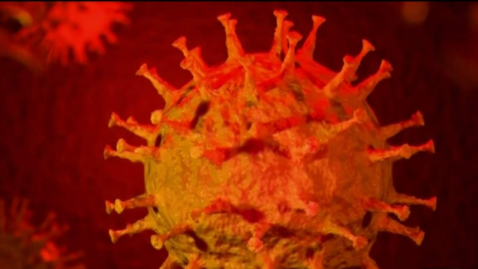  Coronavirus: conoce a la cloroquina, posible medicamento para la enfermedad 