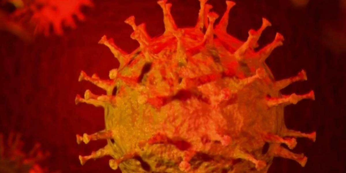 El Coronavirus llegó a México y aquí tenemos los mejores memes al respecto