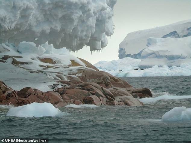 Antártida: científicos descubren nueva isla debido al derretimiento de los glaciares Antártida: científicos descubren nueva isla debido al derretimiento de los glaciares