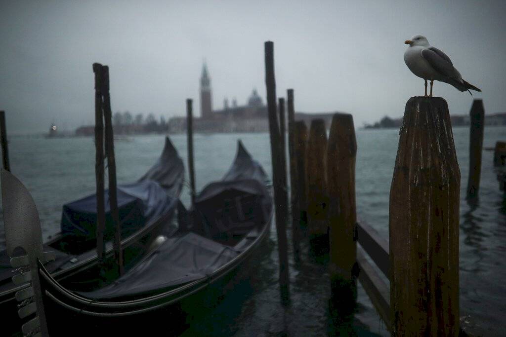 Venecia coronavirus