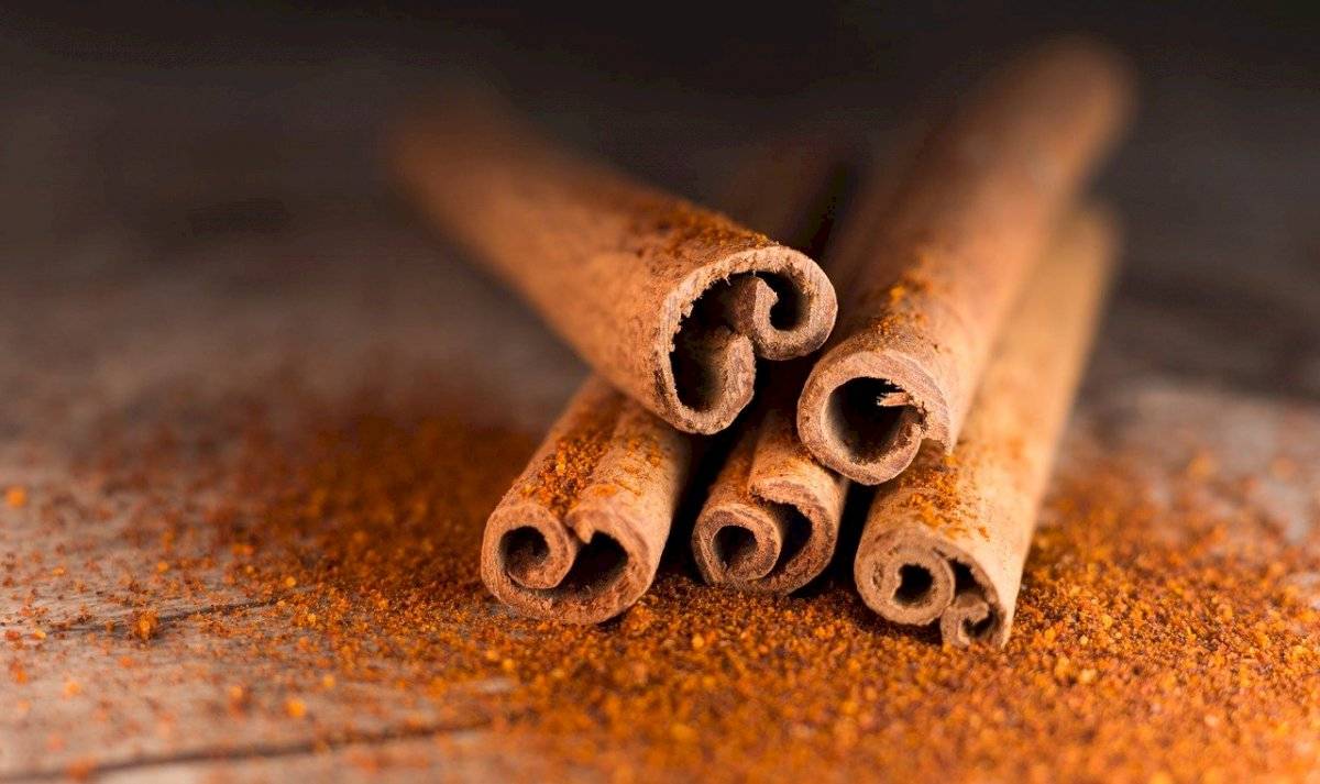 Canela