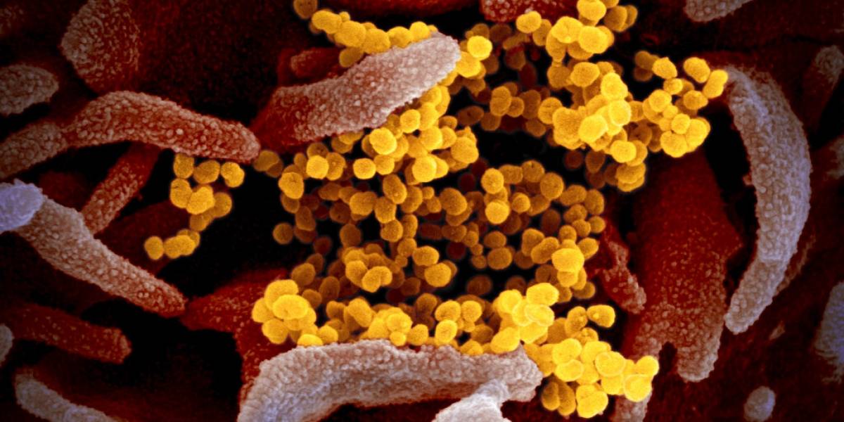 Coronavirus llega a nuevo país en Sudamérica: confirman primer caso en Perú