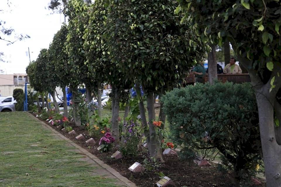 Jardín - niñas Hogar Seguro