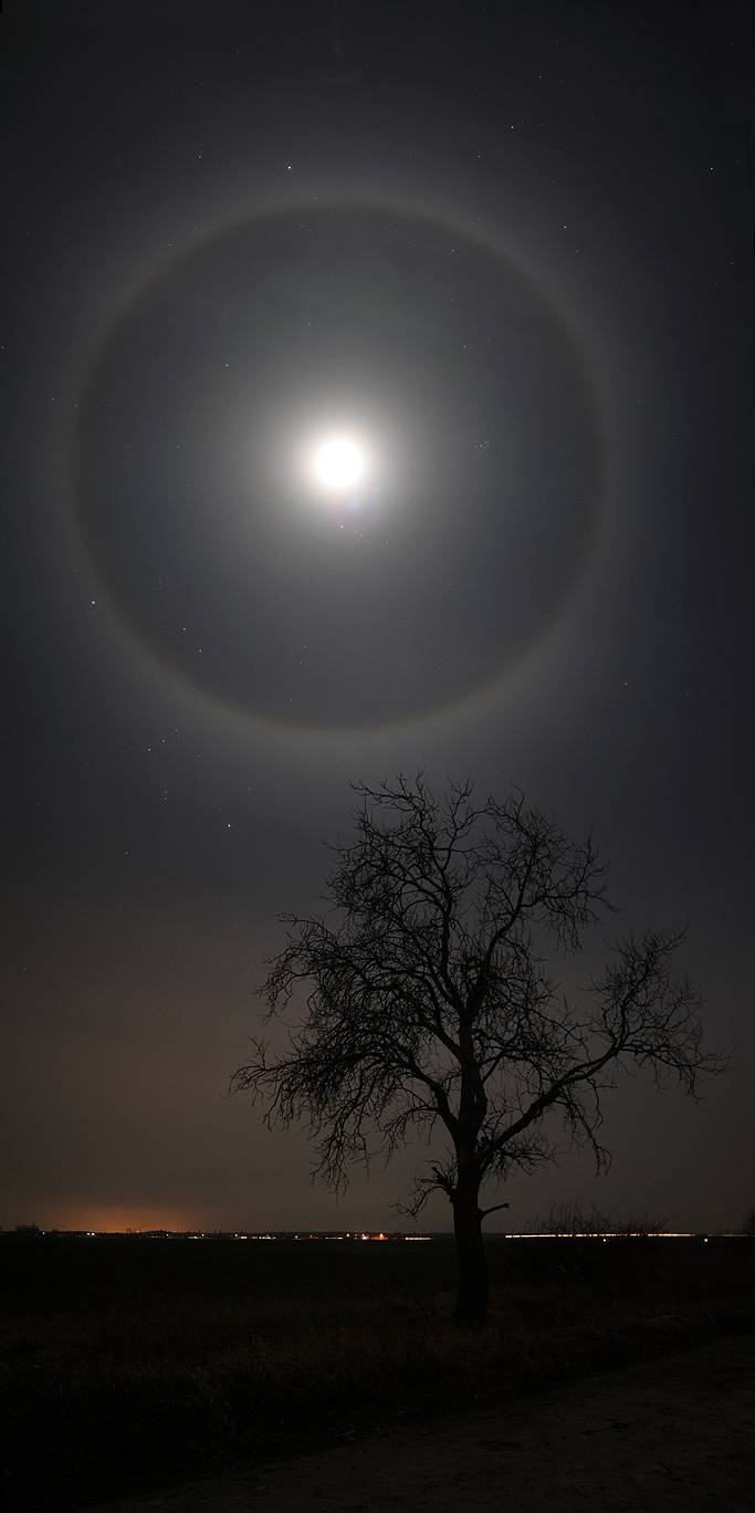 Luna: ¿Qué es el fenómeno conocido como Halo Lunar? Luna: ¿Qué es el fenómeno conocido como Halo Lunar?