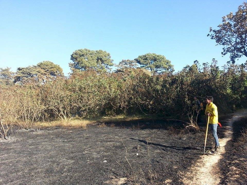 Escala conflicto por urbanización en zona boscosa de El Nixticuil