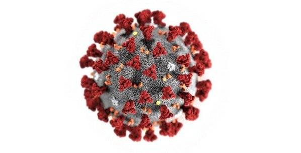 Coronavirus