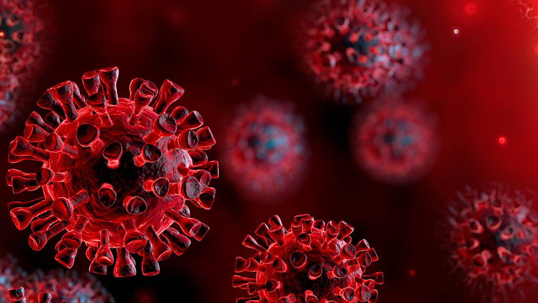 Coronavirus: estos son los dos avances más relevantes para obtener una cura Coronavirus: estos son los dos avances más relevantes para obtener una cura