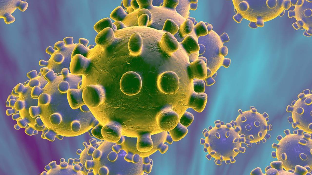  Coronavirus: enfermedad podría ser más fatal en hombres que en mujeres, según datos 