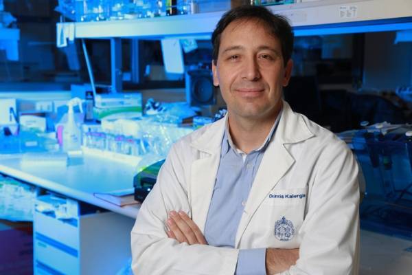 Coronavirus: ¿qué países se encuentran buscando una cura? Coronavirus: ¿qué países se encuentran buscando una cura?
