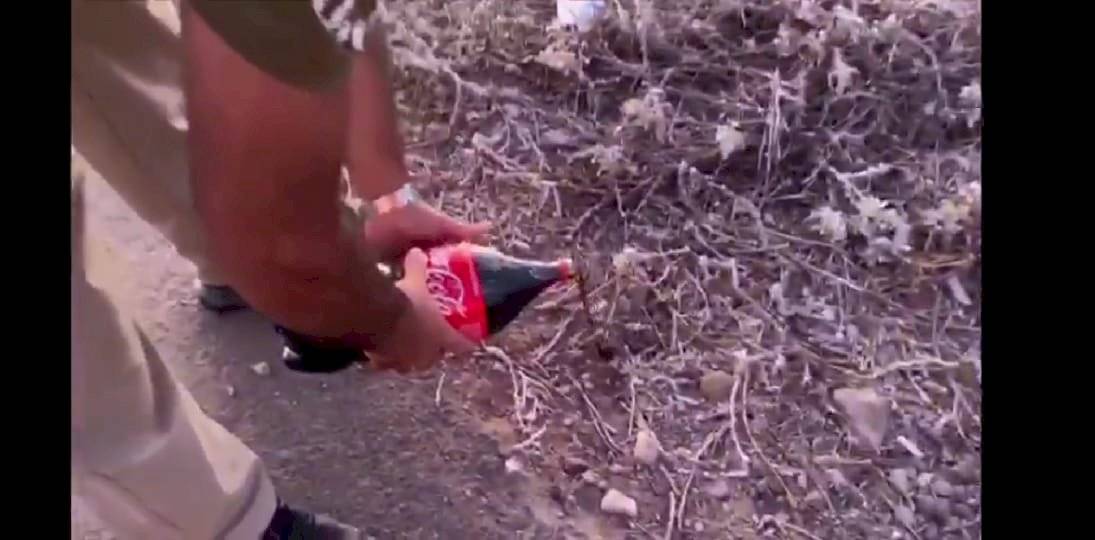 Cocaína en Coca Cola