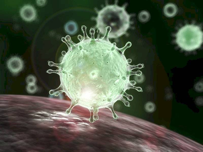Coronavirus inmunidad
