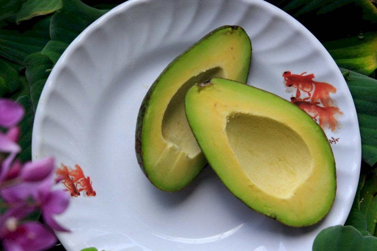 El aguacate aporta nutrientes a la piel y combate el envejecimiento prematuro
