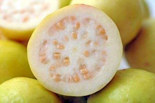 guayaba