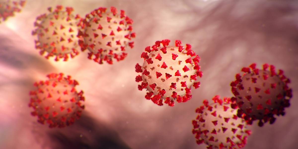 Coronavirus: ¿puedes volver a contagiarte después de enfermarte?