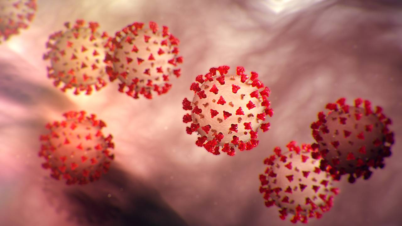 Coronavirus: el COVID-19 sí sobrevive a más de 30 grados y científicos lo demuestran Coronavirus: el COVID-19 sí sobrevive a más de 30 grados y científicos lo demuestran