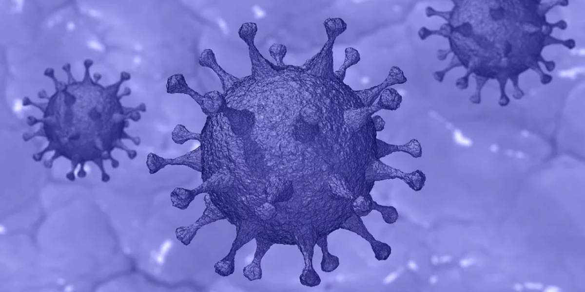 Coronavirus: ¿por qué se le conoce con el nombre de Covid-19?