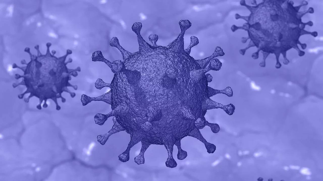  Coronavirus: estas podrían ser las secuelas de la enfermedad 