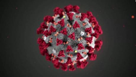 Coronavirus: Ministro de Salud confirma primer fallecido por enfermedad en Chile Coronavirus: Ministro de Salud confirma primer fallecido por enfermedad en Chile