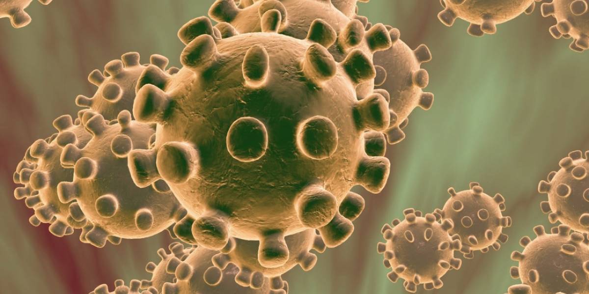 Coronavirus: ¿A cuánta gente mataría si no se hubiera controlado?