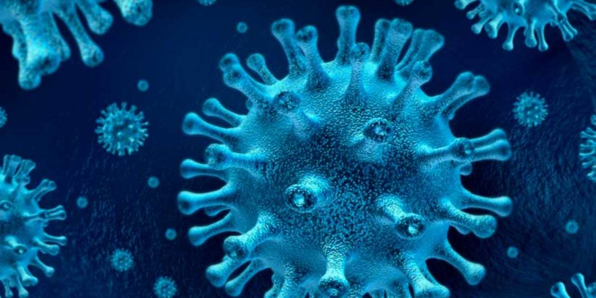 Coronavirus: ¿Qué es y para qué sirve la Inmunoglobina G?