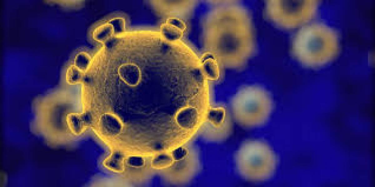 Coronavirus en Chile: cifra de contagiados llega a los 537 en todo el país