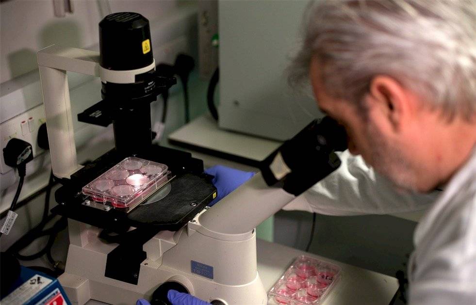 coronavirus laboratorio microscopio