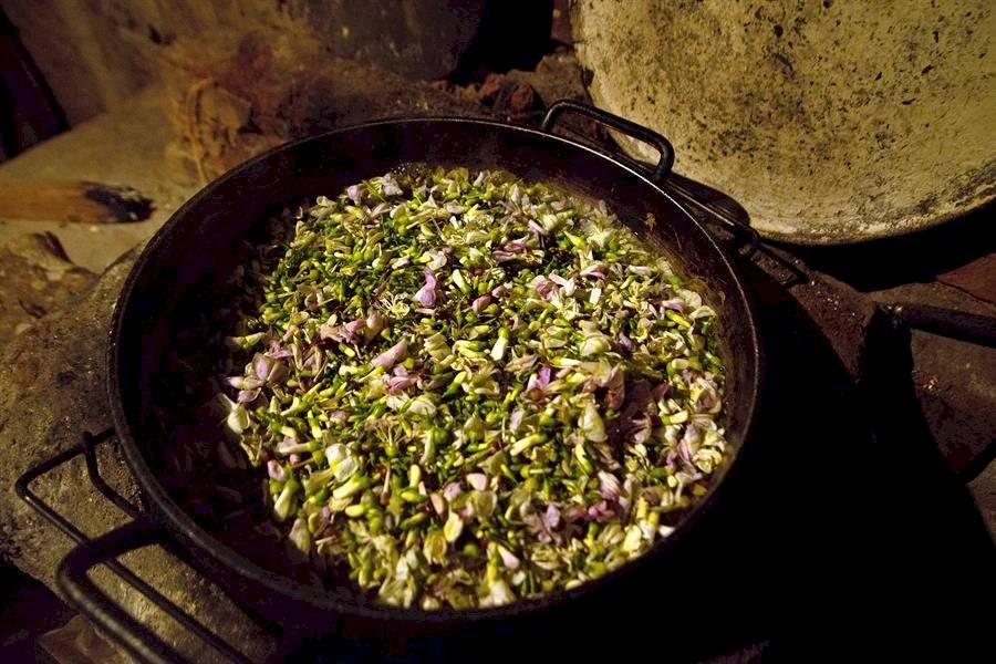 Flor de cuchunuc: el ingrediente principal de la cultura zoque para preparar comidas exóticas