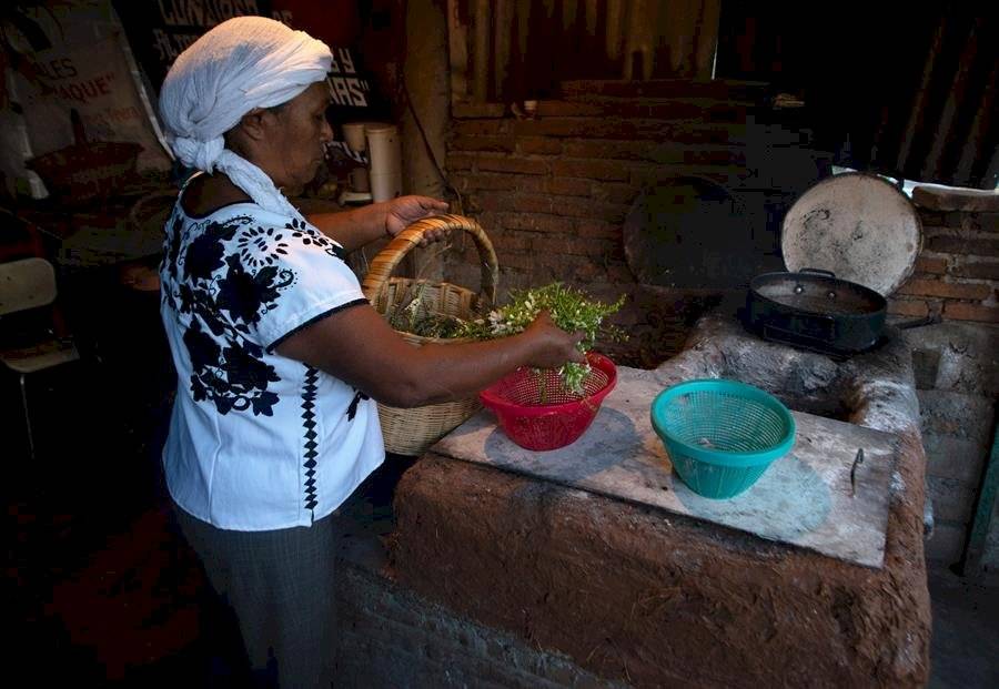 Flor de cuchunuc: el ingrediente principal de la cultura zoque para preparar comidas exóticas